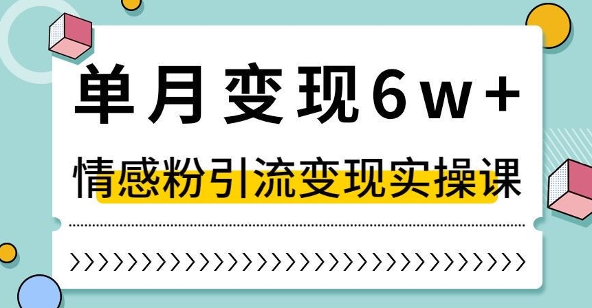 单月变现6W+，抖音情感粉引流变现实操课，小白可做，轻松上手，独家赛道【揭秘】-稀缺资源库