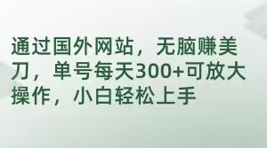 通过国外网站，无脑赚美刀，单号每天300+可放大操作，小白轻松上手【揭秘】-稀缺资源库