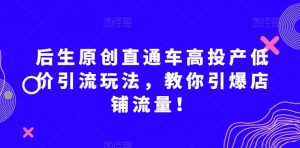 后生原创直通车高投产低价引流玩法，教你引爆店铺流量！-稀缺资源库