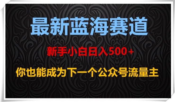 最新蓝海赛道，新手小白日入500+，你也能成为下一个公众号流量主【揭秘】-稀缺资源库