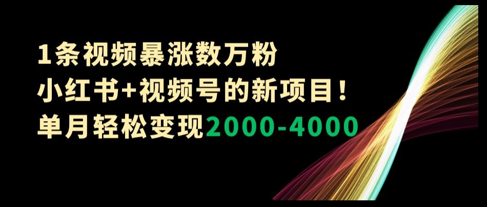 1条视频暴涨数万粉–小红书+视频号的新项目！单月轻松变现2000-4000【揭秘】-稀缺资源库