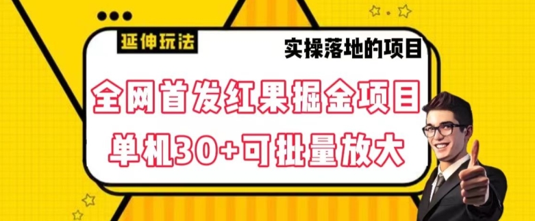 全网首发红果免费短剧掘金项目，单机30+可批量放大【揭秘】-稀缺资源库