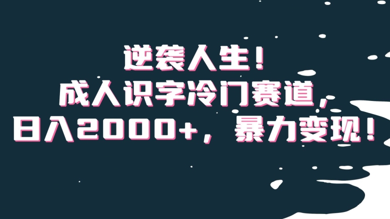 逆袭人生！成人识字冷门赛道，日入2000+，暴力变现！【揭秘】-稀缺资源库
