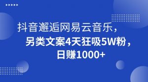 抖音邂逅网易云音乐，另类文案4天狂吸5W粉，日赚1000+【揭秘】-稀缺资源库