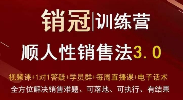 爆款！销冠训练营3.0之顺人性销售法，全方位解决销售难题、可落地、可执行、有结果-稀缺资源库
