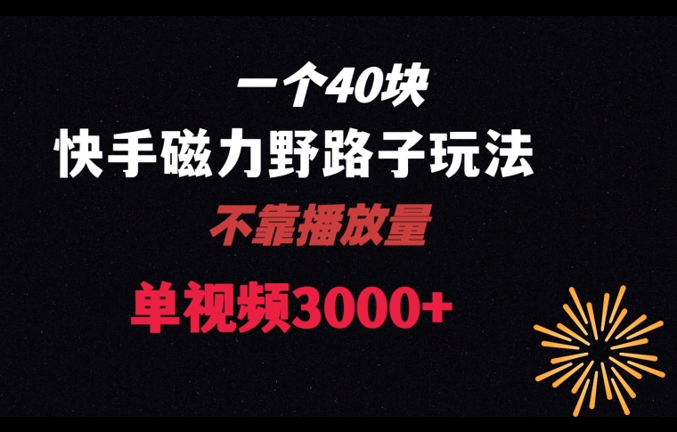 一个40块，快手联合美团磁力新玩法，无视机制野路子玩法，单视频收益4位数【揭秘】-稀缺资源库