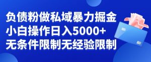 负债粉私域暴力掘金,小白操作入5000,无经验限制,无条件限制【揭秘】-稀缺资源库