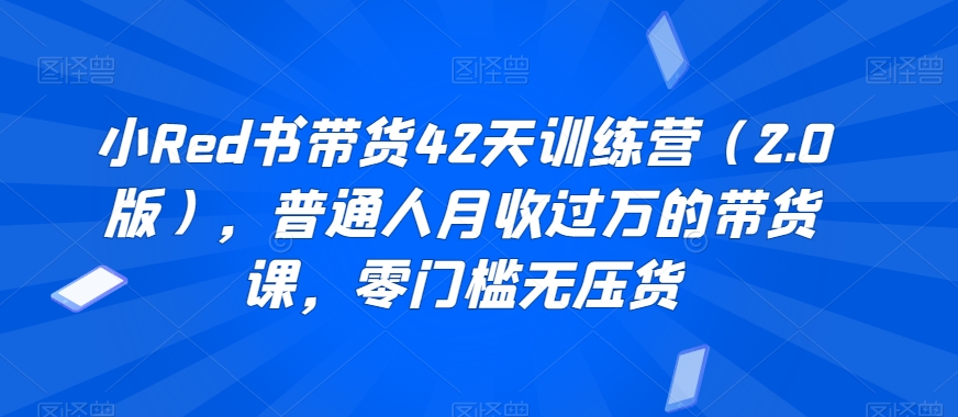 小Red书带货42天训练营（2.0版），普通人月收过万的带货课，零门槛无压货-稀缺资源库