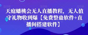 天庭蟠桃会无人直播教程,无人值守礼物收到爆【免费整蛊软件+直播间搭建软件】-稀缺资源库