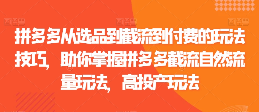 拼多多从选品到截流到付费的玩法技巧，助你掌握拼多多截流自然流量玩法，高投产玩法-稀缺资源库