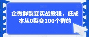 企微群裂变实战教程，低成本从0裂变100个群的-稀缺资源库