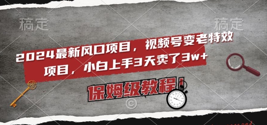 2024最新风口项目，视频号变老特效项目，电脑小白上手3天卖了3w+，保姆级教程【揭秘】-稀缺资源库