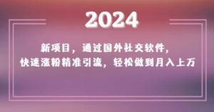 2024新项目，通过国外社交软件，快速涨粉精准引流，轻松做到月入上万【揭秘】-稀缺资源库