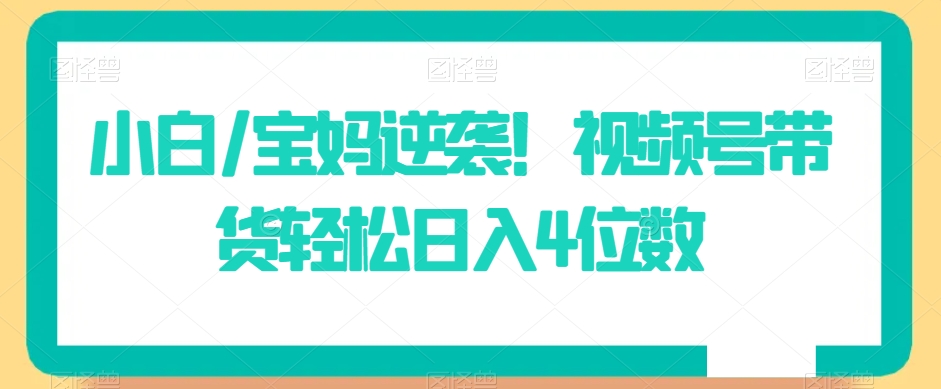 小白/宝妈逆袭！视频号带货轻松日入4位数【揭秘】-稀缺资源库