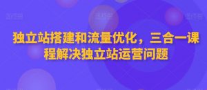 独立站搭建和流量优化,三合一课程解决独立站运营问题-稀缺资源库