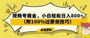 视频号掘金，小白轻松日入800+（附100%过原创技巧）【揭秘】-稀缺资源库