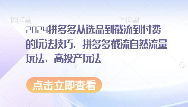 2024拼多多从选品到截流到付费的玩法技巧，拼多多截流自然流量玩法，高投产玩法-稀缺资源库