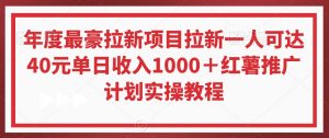 年度最豪拉新项目拉新一人可达40元单日收入1000+红薯推广计划实操教程【揭秘】-稀缺资源库