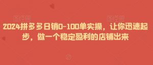 2024拼多多日销0-100单实操,让你迅速起步,做一个稳定盈利的店铺出来-稀缺资源库