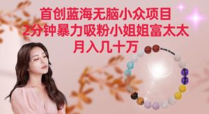 首创蓝海无脑小众项目,2分钟暴力吸粉小姐姐富太太,月入几十万【揭秘】-稀缺资源库