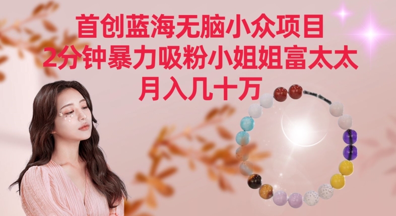 首创蓝海无脑小众项目，2分钟暴力吸粉小姐姐富太太，月入几十万【揭秘】-稀缺资源库