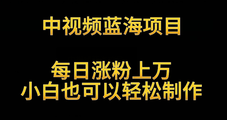 中视频蓝海项目，解读英雄人物生平，每日涨粉上万，小白也可以轻松制作，月入过万不是梦【揭秘】-稀缺资源库