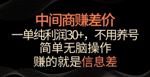 中间商赚差价，一单纯利润30+，简单无脑操作，赚的就是信息差，轻轻松松日入1000+【揭秘】-稀缺资源库