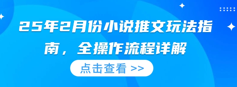 25年2月份小说推文玩法指南，全操作流程详解-稀缺资源库