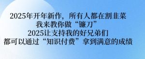 2025年开年新作,所有人都在割韭菜,我来教你做“镰刀” 2025让支持我的好兄弟们都可以通过“知识付费”拿到满意的成绩【揭秘】-稀缺资源库