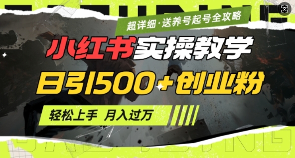 2月小红书最新日引500+创业粉实操教学【超详细】小白轻松上手，月入1W+，附小红书养号起号SOP-稀缺资源库