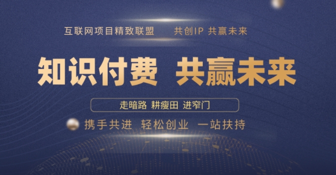 别人苦寻无果，为何他们靠知识付费卖项目 2025 年轻松年入100个?【揭秘】-稀缺资源库