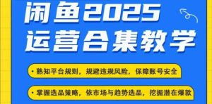 2025闲鱼电商运营全集,2025最新咸鱼玩法-稀缺资源库