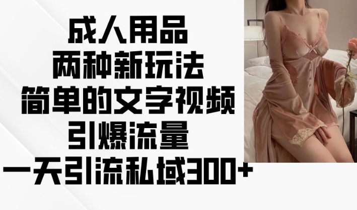 成人用品两种新玩法，简单的文字视频引爆流量，一天引流私域300+-稀缺资源库
