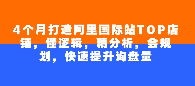 4个月打造阿里国际站TOP店铺，懂逻辑，精分析，会规划，快速提升询盘量-稀缺资源库