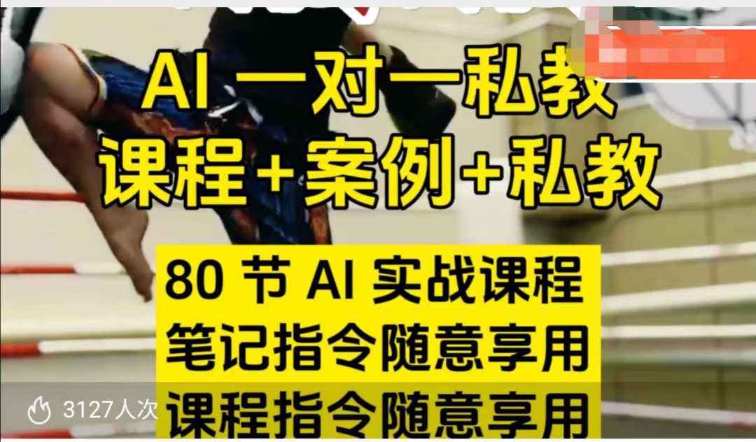AI指令实战课，课程+案例，80节AI实战课程，笔记指令随意享用，课程指令随意享用-稀缺资源库