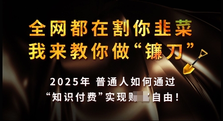 知识付费如何做到月入过W+，2025我来教你做“镰刀”【揭秘】-稀缺资源库