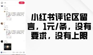 小红书评论区留言,1元条,没有要求,没有上限-稀缺资源库