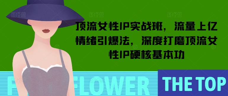 顶流女性IP实战班，流量上亿情绪引爆法，深度打磨顶流女性IP硬核基本功-稀缺资源库