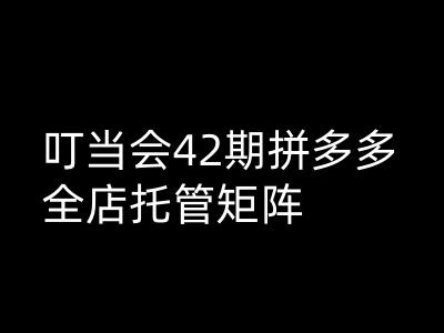 叮当会拼多多打爆班原创高阶技术第42期，拼多多全店托管矩阵-稀缺资源库
