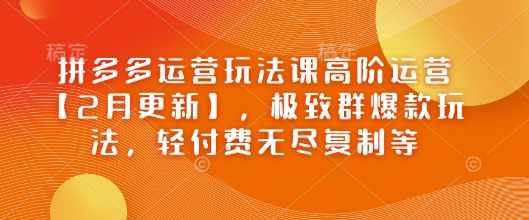 拼多多运营玩法课高阶运营【2月更新】，极致群爆款玩法，轻付费无尽复制等-稀缺资源库