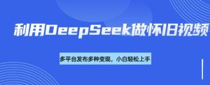 利用DeepSeek做怀旧视频,流量号多渠道变现能力强-稀缺资源库