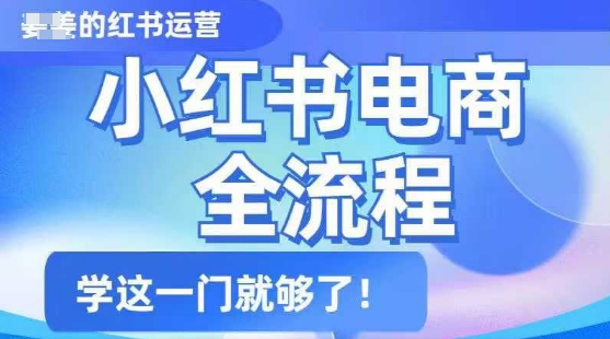 小红书电商全流程，精简易懂，从入门到精通，学这一门就够了-稀缺资源库