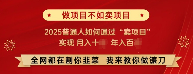 必看，做项目不如卖项目，2025普通人如何通过“卖项目”实现月入十个，年入百个-稀缺资源库