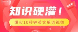 知识硬灌,1分钟教会你,利用AI制作爆火10秒钟记一个英文单词视频-稀缺资源库