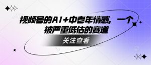 视频号的AI+中老年情感,一个被严重低估的赛道-稀缺资源库
