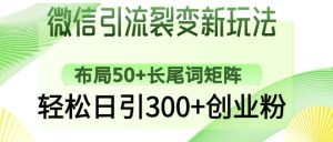 微信引流裂变新玩法:布局50+长尾词矩阵,轻松日引300+创业粉-稀缺资源库