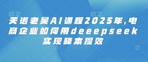 天诺老吴AI课程2025年,电商企业如何用deeepseek实现降本提效-稀缺资源库