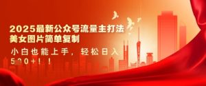 2025最新公众号流量主打法,美女图片简单复制,小白也能上手,轻松日入5张-稀缺资源库