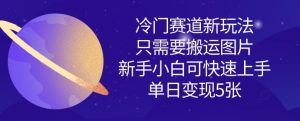 冷门赛道新玩法,只需要搬运图片,新手小白可快速上手,单日变现多张-稀缺资源库