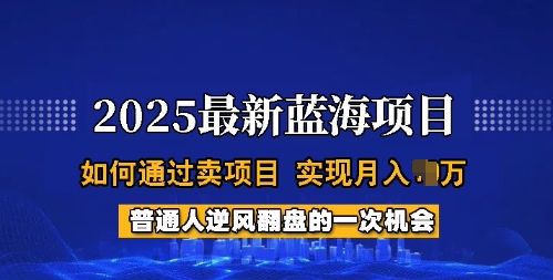 2025蓝海项目，普通人如何通过卖项目，实现月入过W，全过程【揭秘】-稀缺资源库
